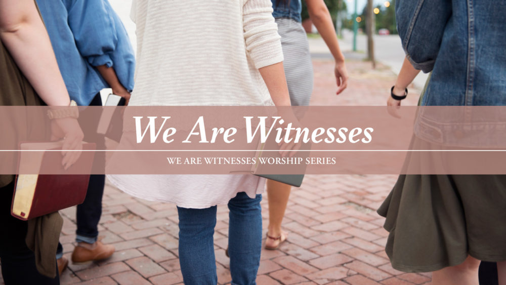We Are Witnesses Image